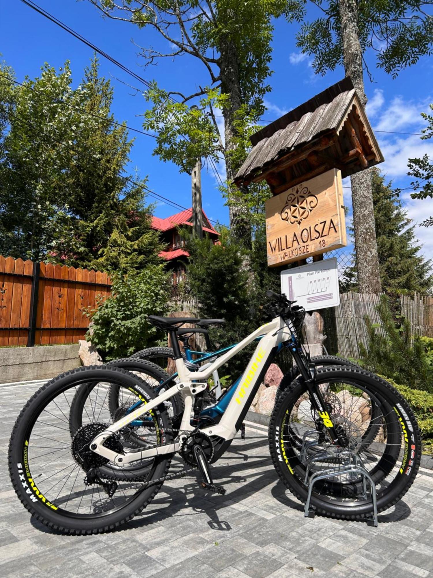 Apartamenty Willa Olsza Wood House & Mountain View & Sauna Zakopane Bagian luar foto