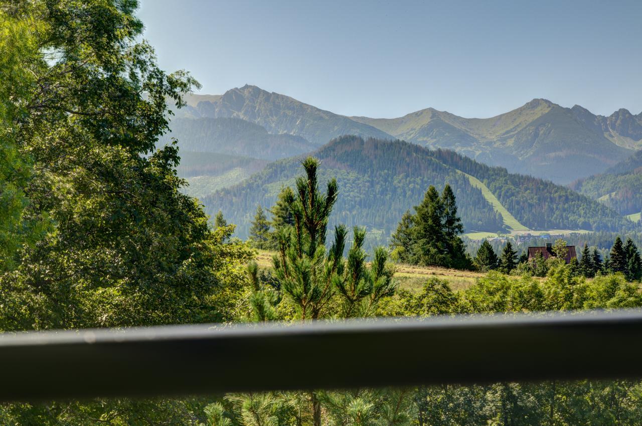 Apartamenty Willa Olsza Wood House & Mountain View & Sauna Zakopane Bagian luar foto